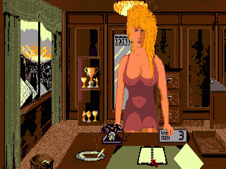 World Championship Boxing Manager screenshot 3 for Amiga
